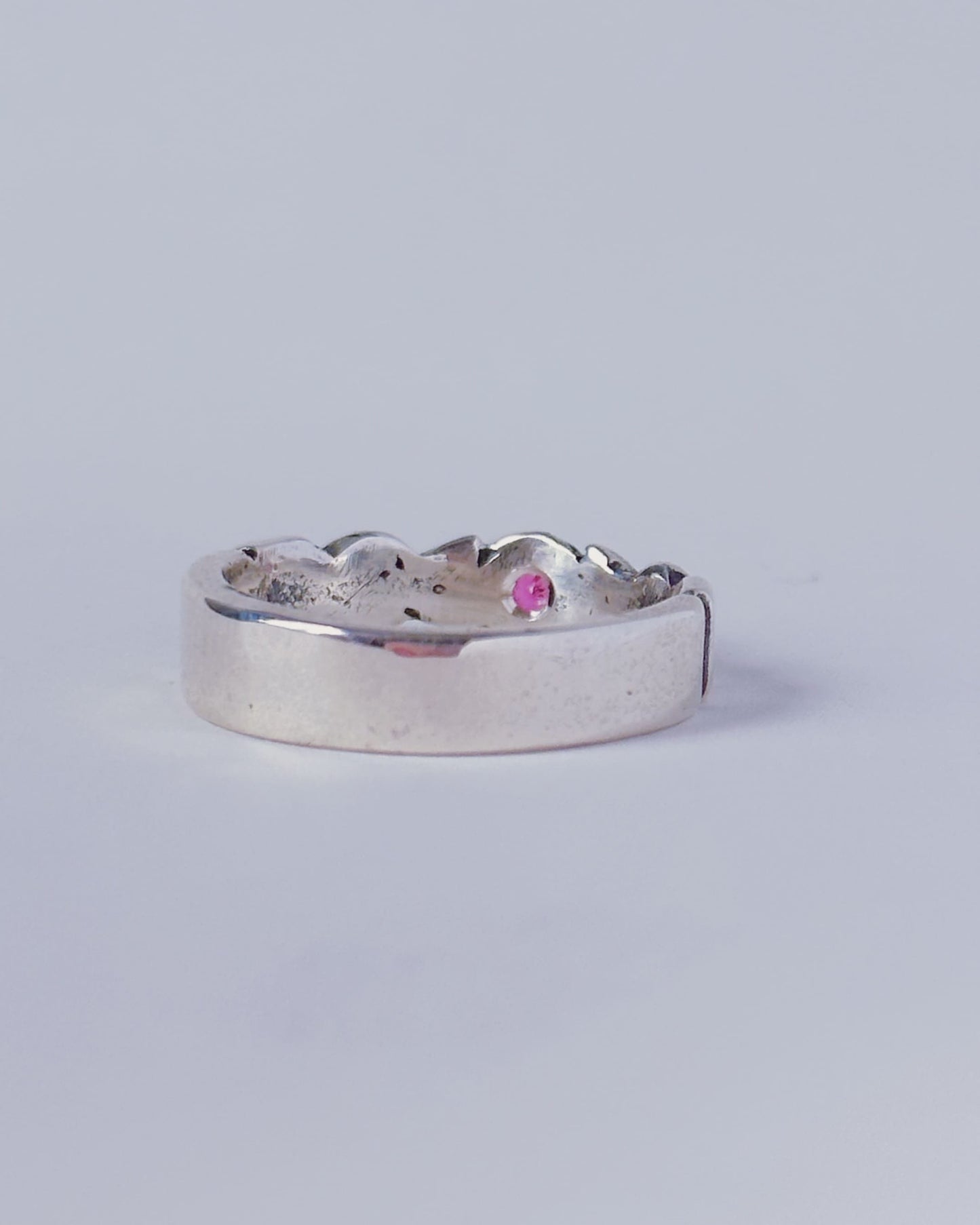La Bague de la Princesse