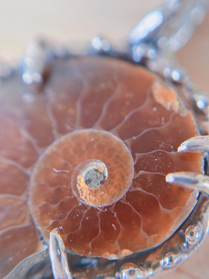 Collier Fossile d'Ammonite